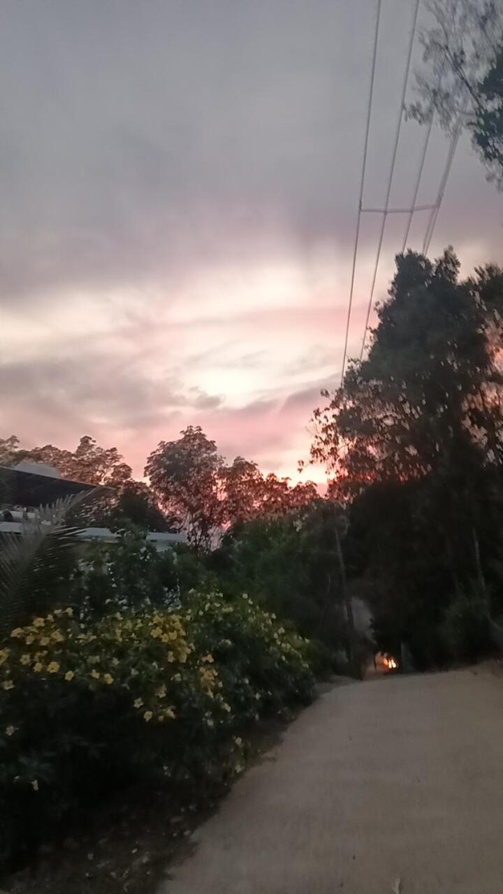 מונאר Mount Mist Villa מראה חיצוני תמונה